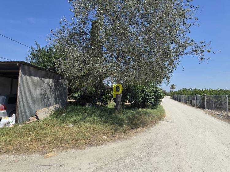 Venta - Casa de campo - Elche Pedanías - Daimés