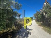 Venta - Casa - Torrellano - Torrellano Bajo