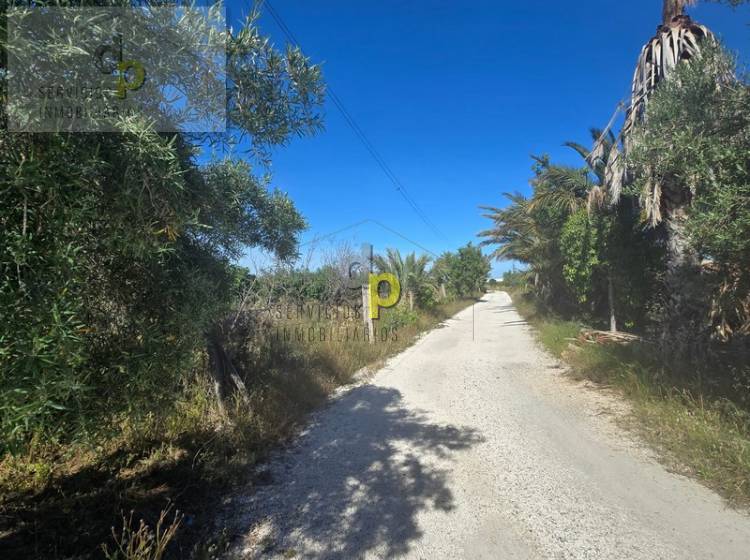 Venta - Casa - Torrellano - Torrellano Bajo