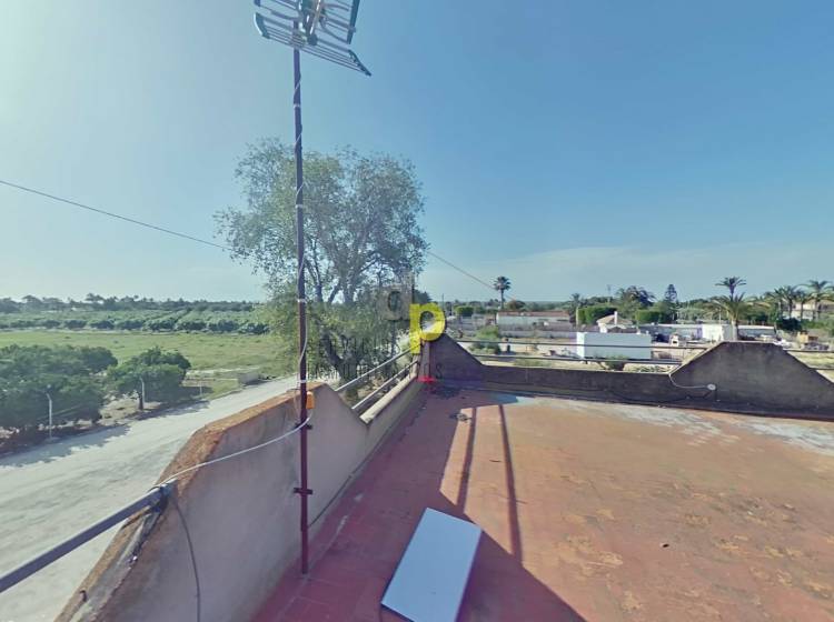 Venta - Casa de campo - Elche Pedanías - Daimés