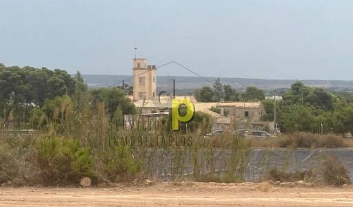 Finca Rústica - Venta - Torrellano - Torrellano Alto