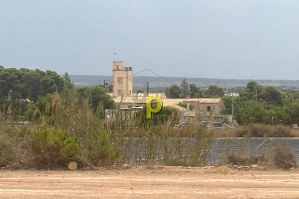 Finca Rústica - Venta - Torrellano - Torrellano Alto