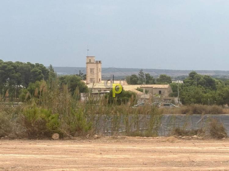 Venta - Finca Rústica - Torrellano - Torrellano Alto