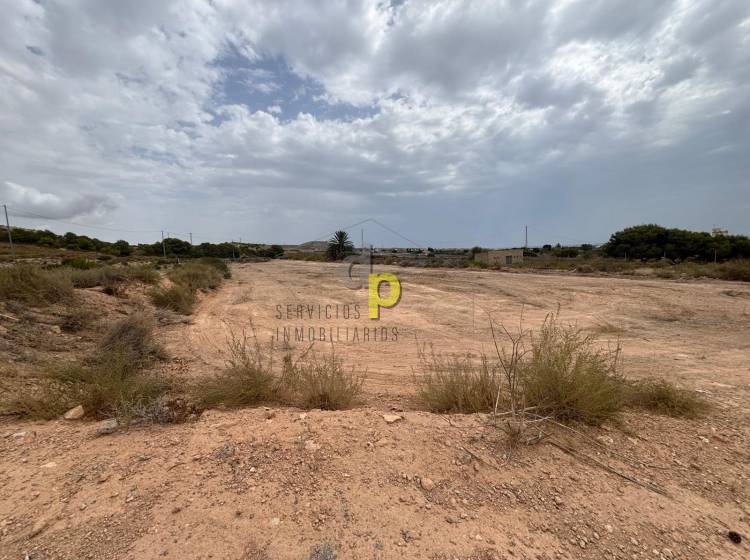 Venta - Finca Rústica - Torrellano - Torrellano Alto
