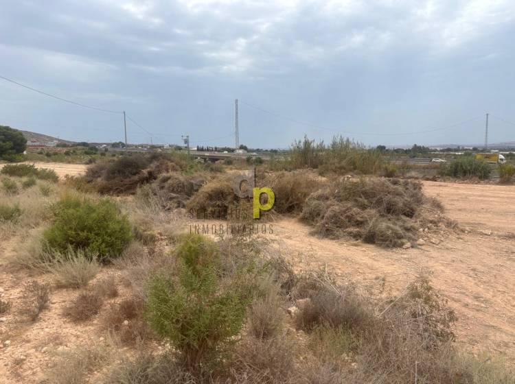 Venta - Finca Rústica - Torrellano - Torrellano Alto