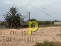 Venta - Finca Rústica - Torrellano - Torrellano Alto