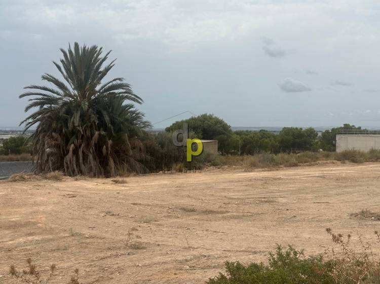 Venta - Finca Rústica - Torrellano - Torrellano Alto