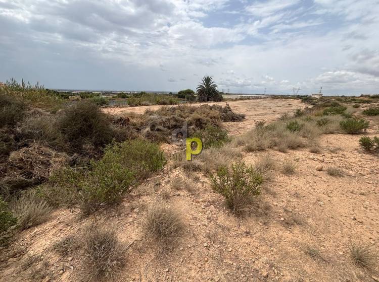 Venta - Finca Rústica - Torrellano - Torrellano Alto