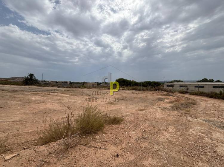 Venta - Finca Rústica - Torrellano - Torrellano Alto