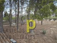 Sale - Villa - Elche Pedanías - Santa Ana