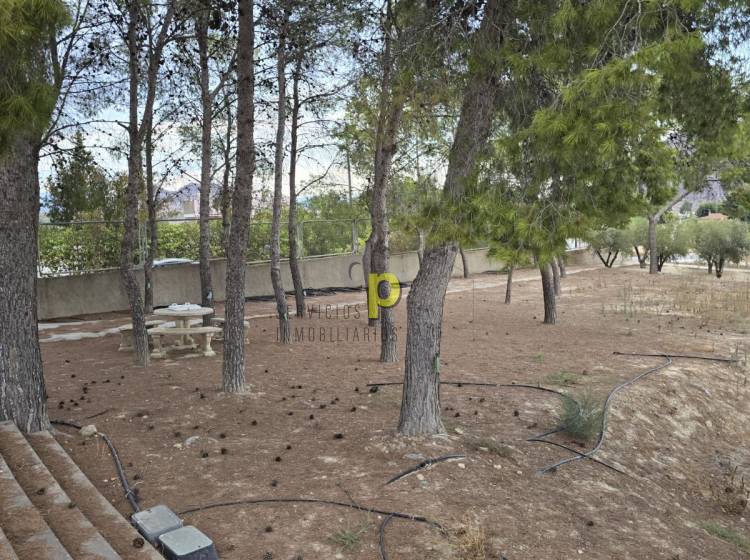 Sale - Villa - Elche Pedanías - Santa Ana