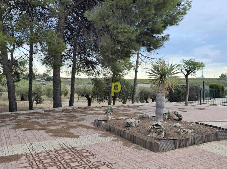 Sale - Villa - Elche Pedanías - Santa Ana
