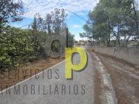 Sale - Villa - Elche Pedanías - Santa Ana
