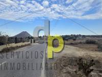 Sale - Villa - Elche Pedanías - Santa Ana
