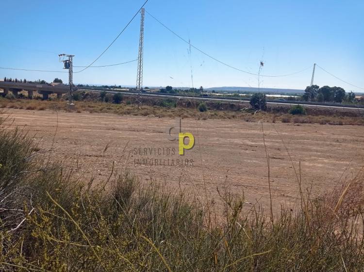 Sale - Rustic Finca - Torrellano - Torrellano Alto