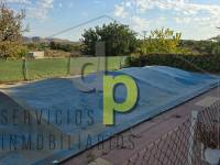 Sale - Rustic Finca - Elche Pedanías - Vallongas