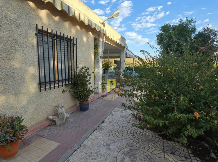 Sale - Rustic Finca - Elche Pedanías - Vallongas