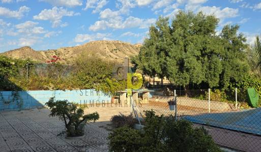 Finca Rústica - Venta - Elche Pedanías - Vallongas