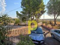 Sale - Rustic Finca - Elche Pedanías - Vallongas