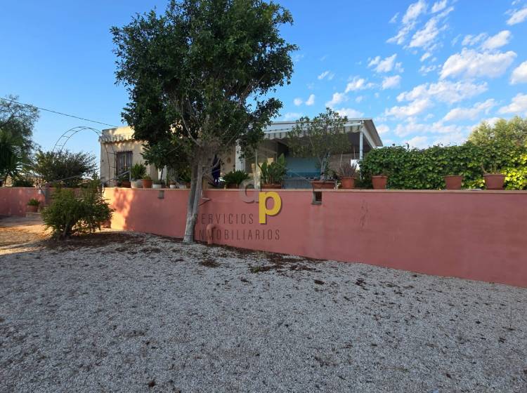 Sale - Rustic Finca - Elche Pedanías - Vallongas