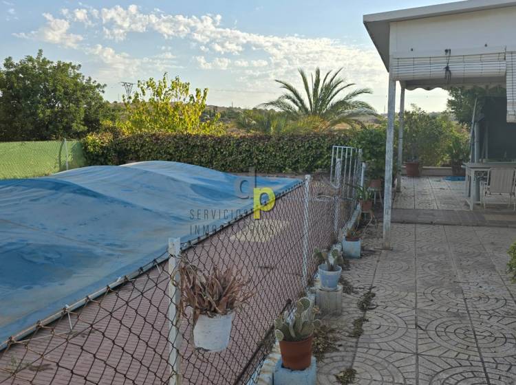 Sale - Rustic Finca - Elche Pedanías - Vallongas
