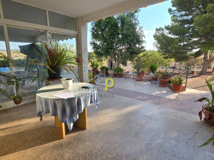 Sale - Rustic Finca - Elche Pedanías - Vallongas