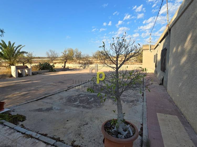 Sale - Rustic Finca - Elche Pedanías - Vallongas