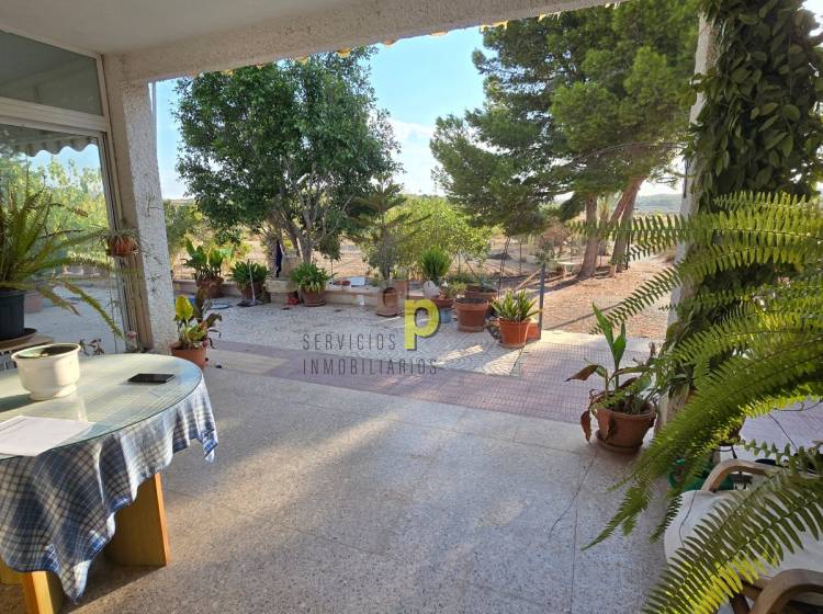 Sale - Rustic Finca - Elche Pedanías - Vallongas