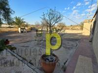 Sale - Rustic Finca - Elche Pedanías - Vallongas
