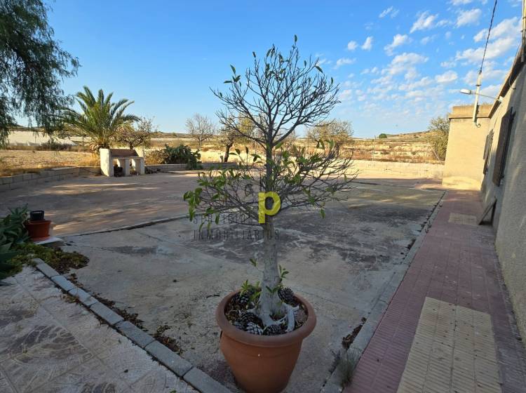 Sale - Rustic Finca - Elche Pedanías - Vallongas