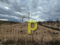 Sale - Rustic Finca - Elche Pedanías - Vallongas