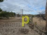 Sale - Rustic Finca - Elche Pedanías - Vallongas