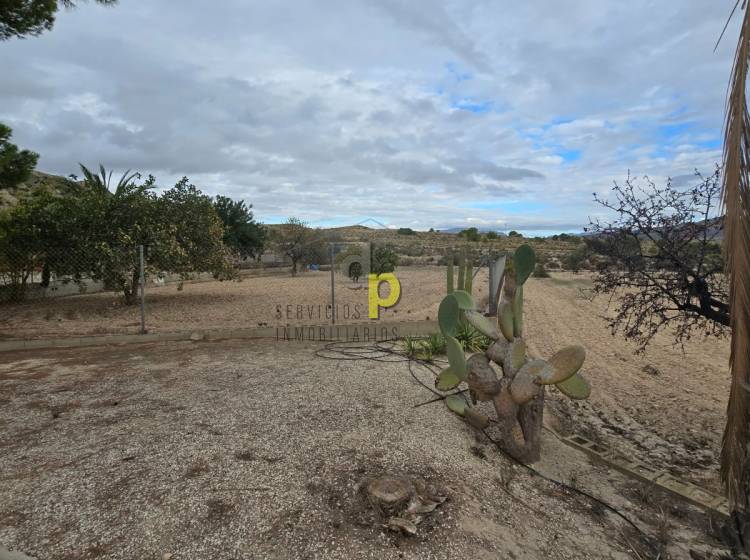 Sale - Rustic Finca - Elche Pedanías - Vallongas