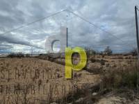 Sale - Rustic Finca - Elche Pedanías - Vallongas