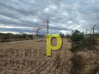 Sale - Rustic Finca - Elche Pedanías - Vallongas