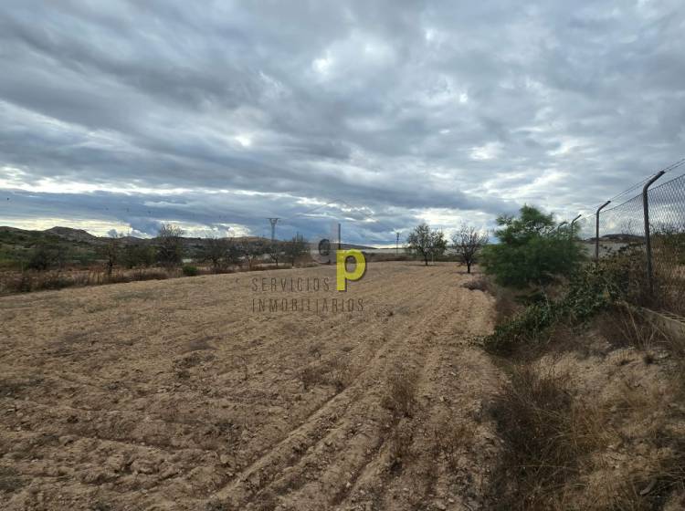 Sale - Rustic Finca - Elche Pedanías - Vallongas