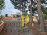 Sale - Rustic Finca - Elche Pedanías - Vallongas