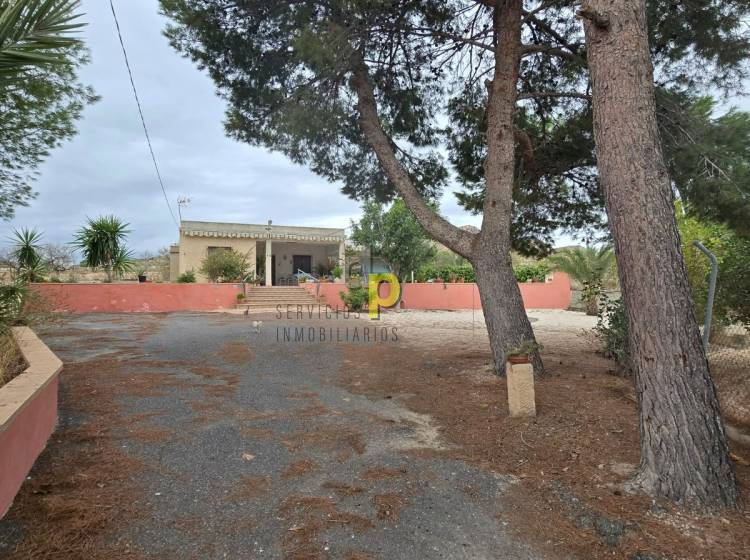 Sale - Rustic Finca - Elche Pedanías - Vallongas
