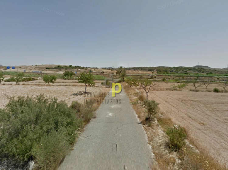Sale - Rustic Finca - Elche Pedanías - Vallongas