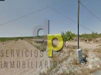 Sale - Rustic Finca - Elche Pedanías - Vallongas