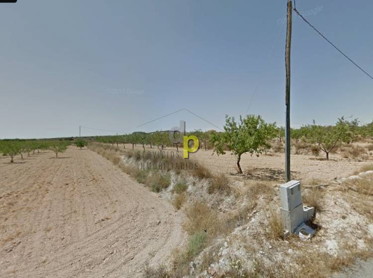 Sale - Rustic Finca - Elche Pedanías - Vallongas